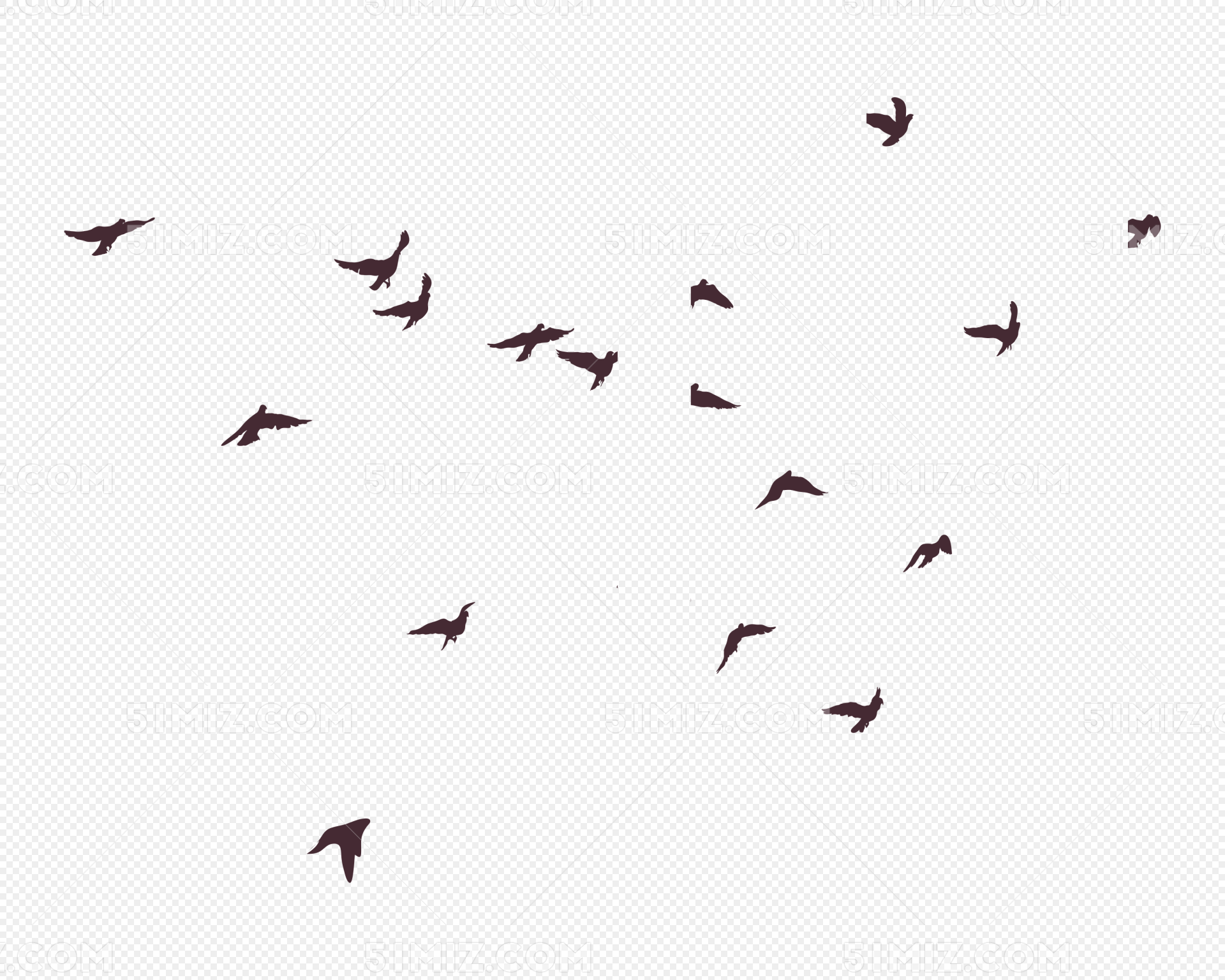 矢量图鸟的各种姿态图片素材免费下载 - 觅知网