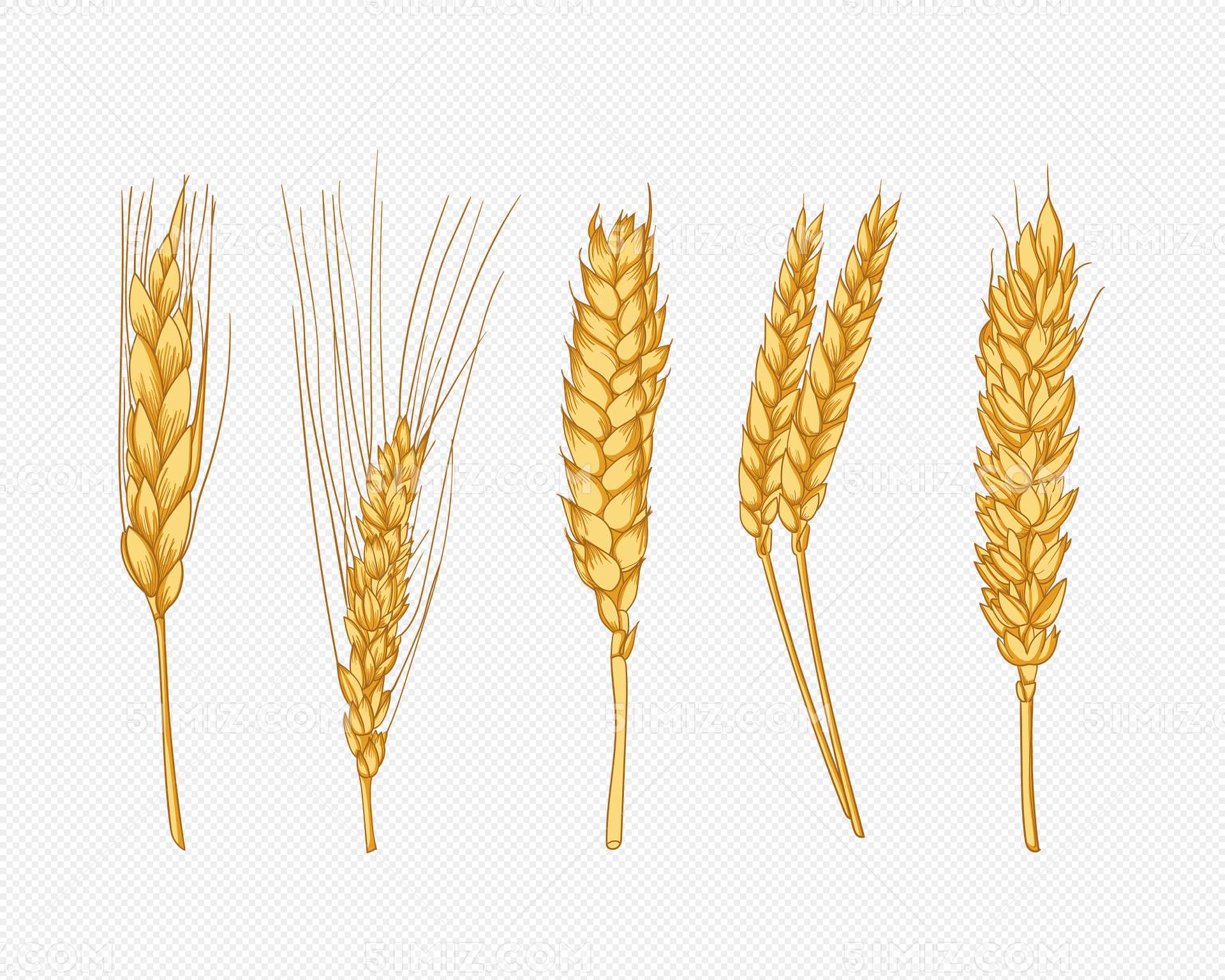 手绘麦穗农作物矢量图图片素材免费下载 - 觅知网