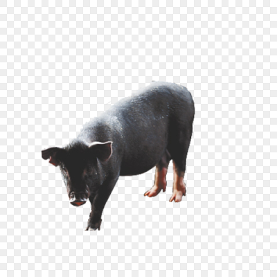 ز-,ͼƬ-,زͼƬ-֪