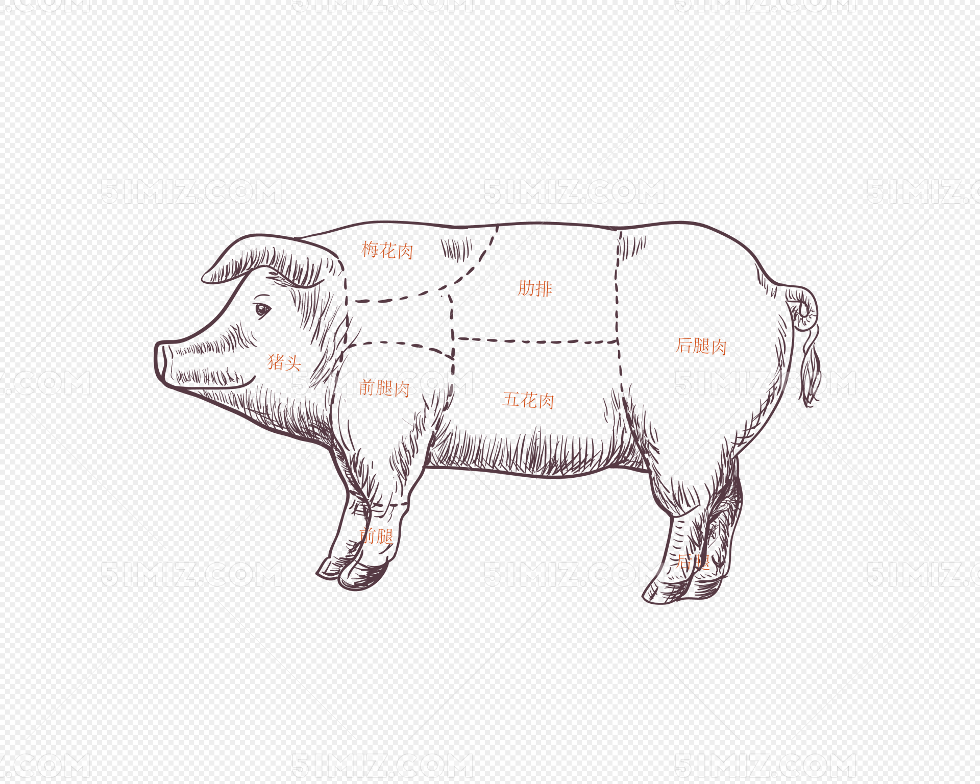 牛子蛋：猪肉丁清炒菊花菜，清热解毒，秋冬季家中常备菜肴