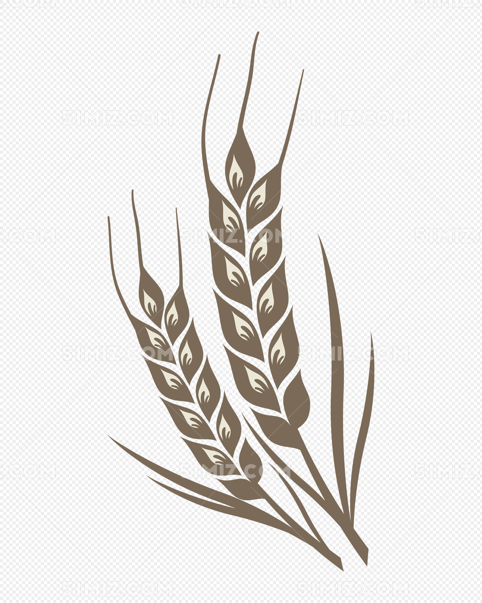Ears of oat, spelt, wheat and barley - Stock Photo - Dissolve