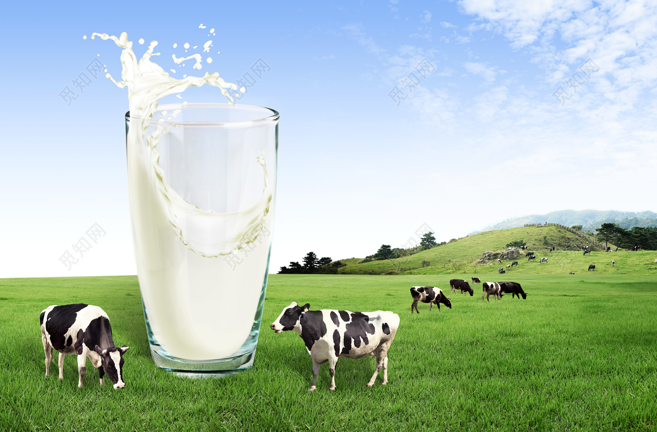 炎炎夏日，带你去草原品尝蒙牛牛奶|摄影|产品摄影|秦山之味 - 原创作品 - 站酷 (ZCOOL)