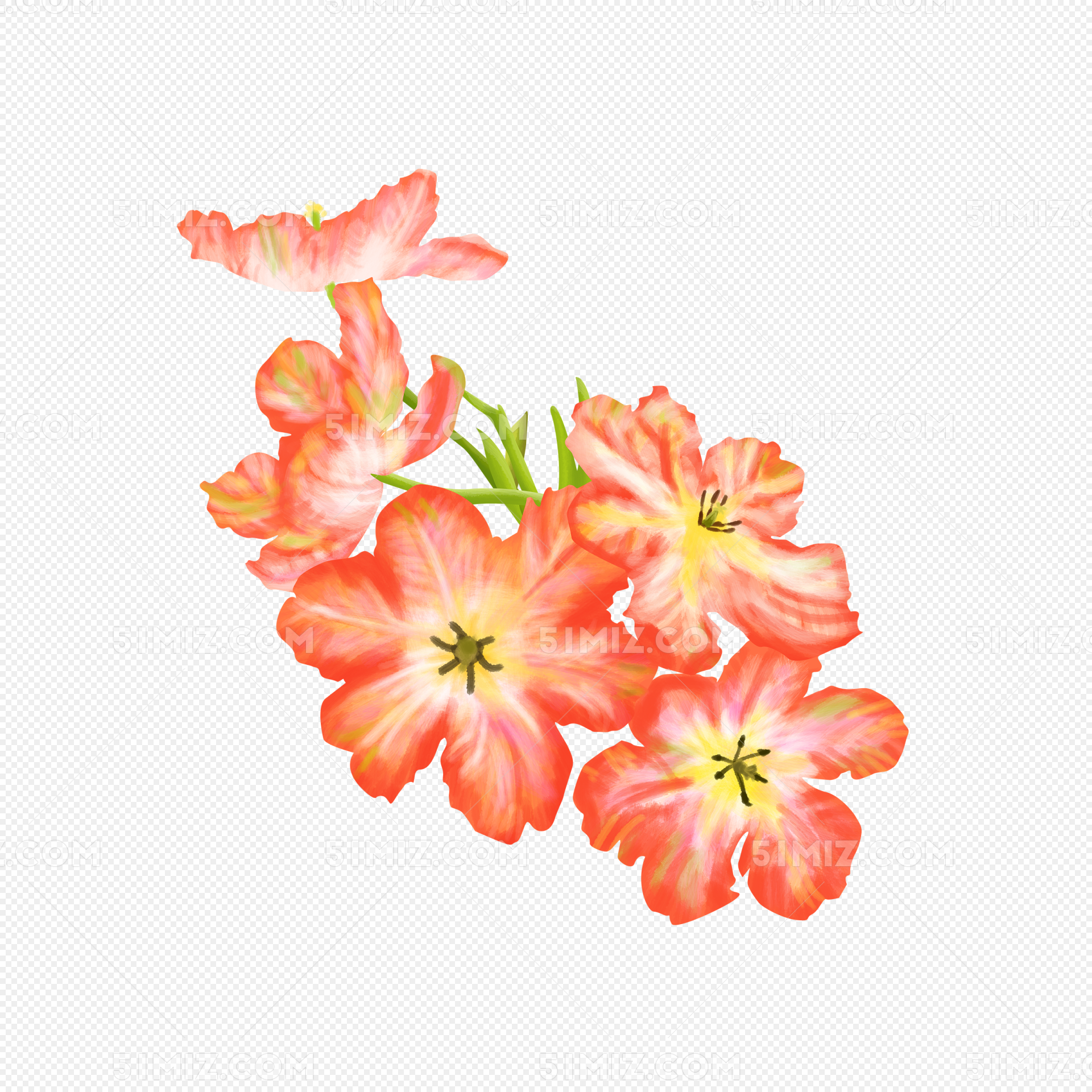 手绘水彩花卉小清新花绿叶图片素材免费下载 - 觅知网