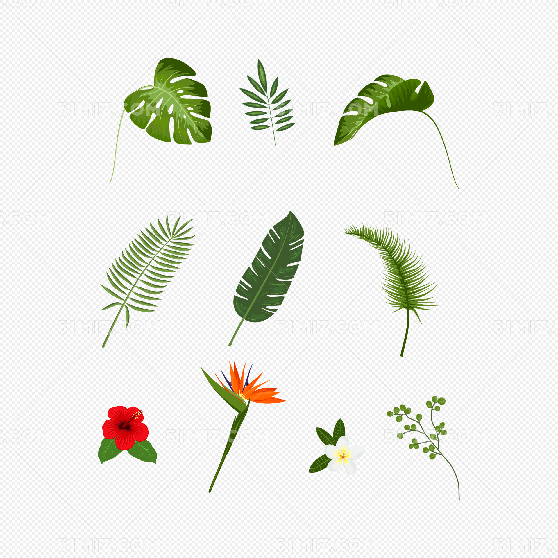 手绘小清新水彩植物叶子矢量素材免费下载 - 觅知网
