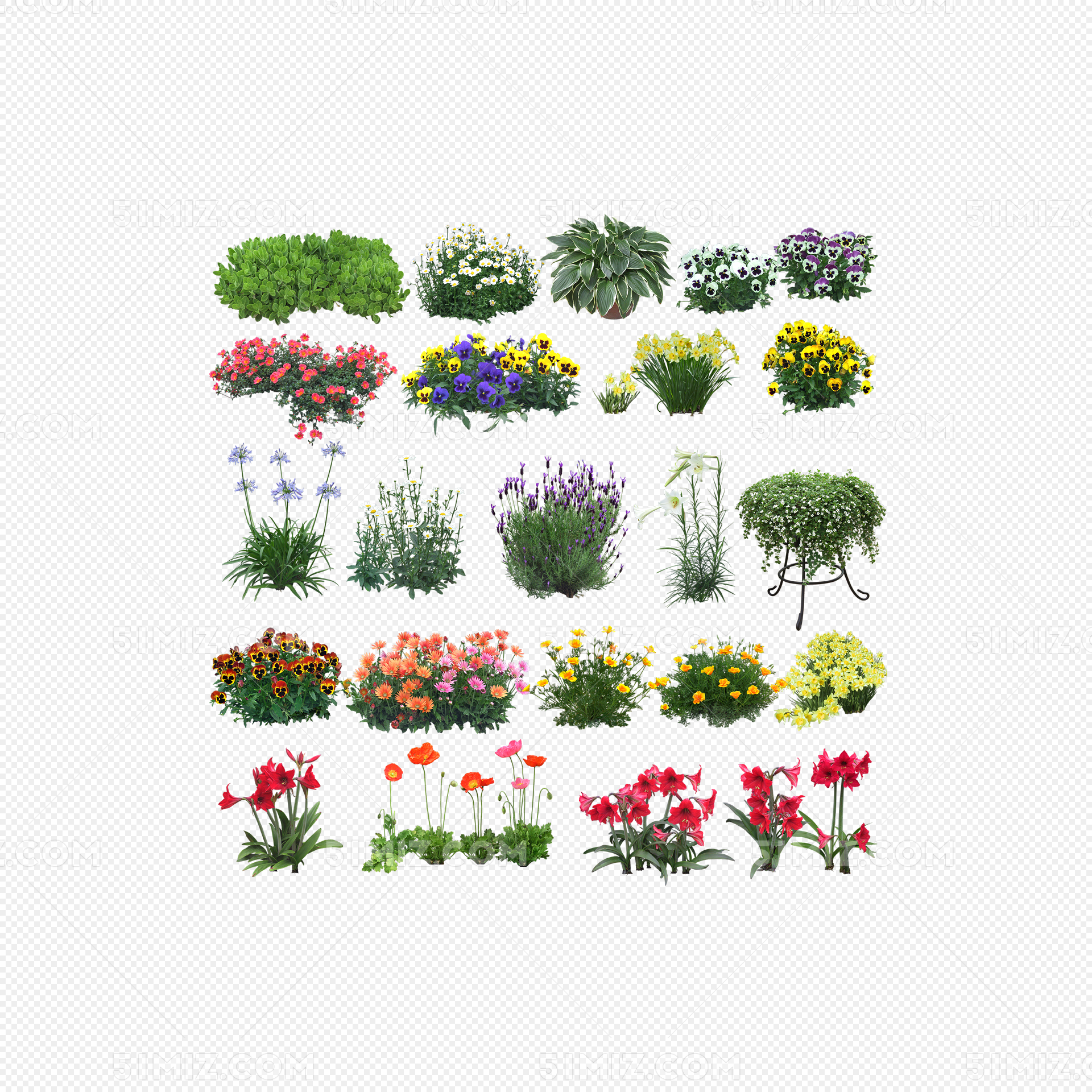 花卉图片素材-编号07934040-图行天下