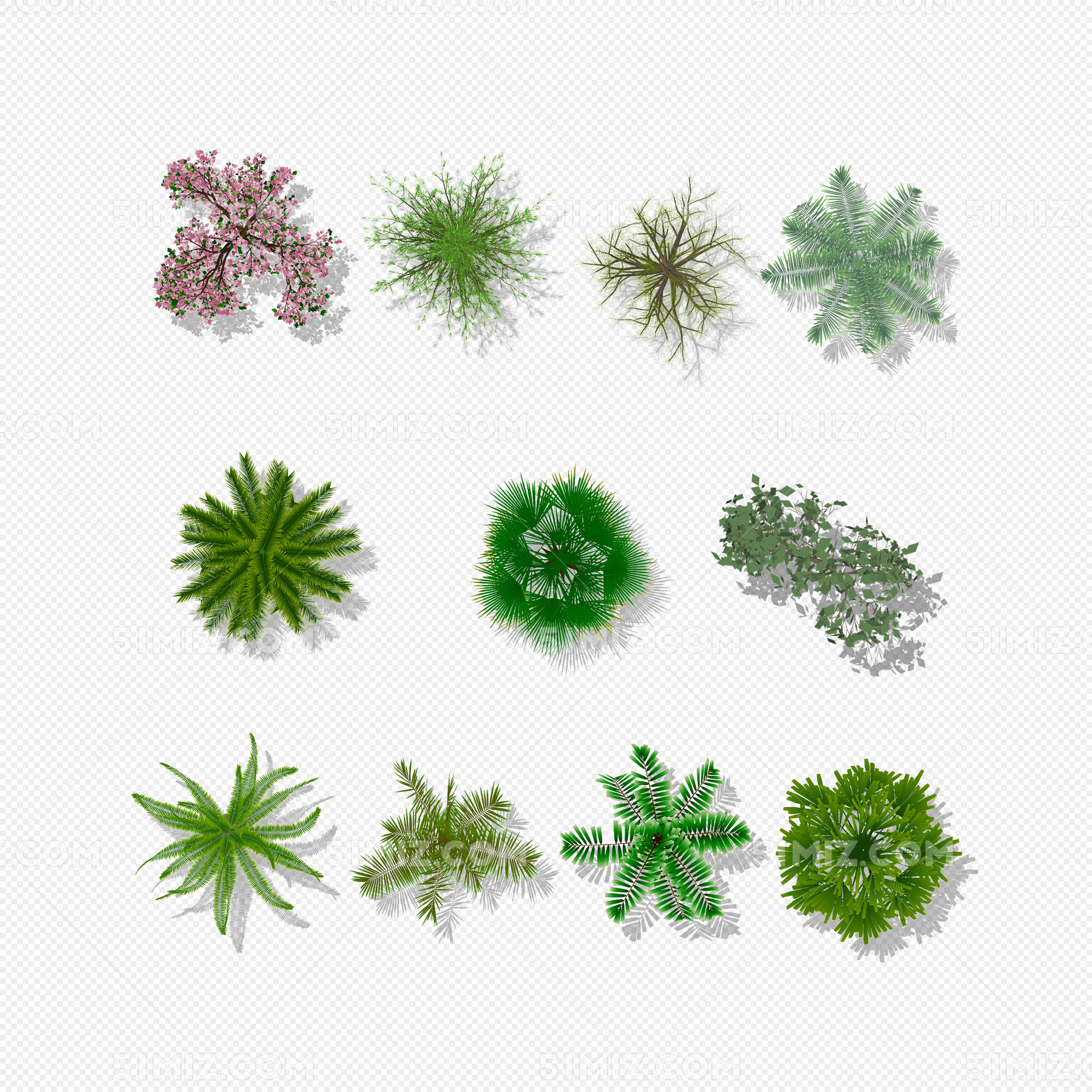 PS彩绘平面植物素材-壹点素材