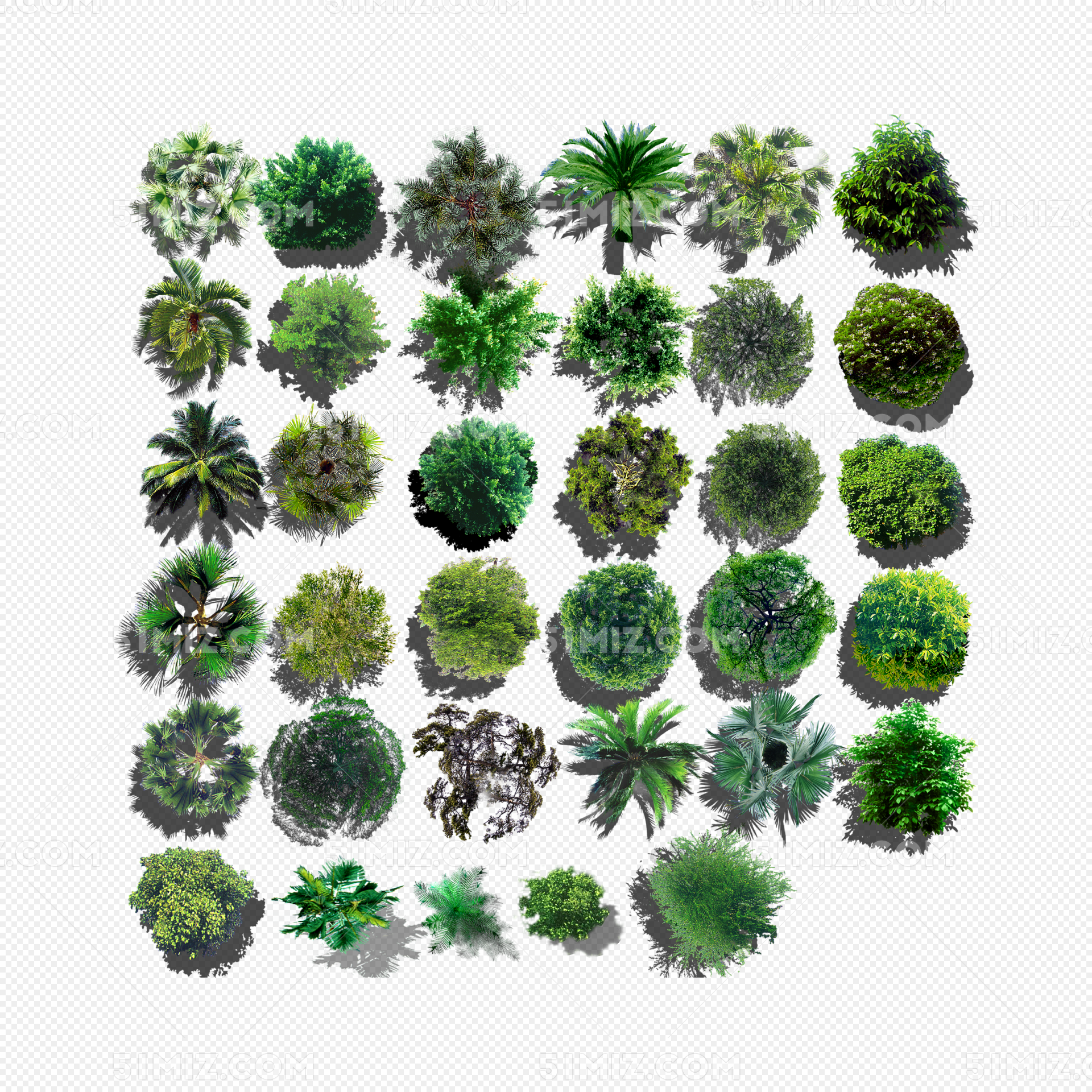2021植物景观CAD图库图片下载_红动中国
