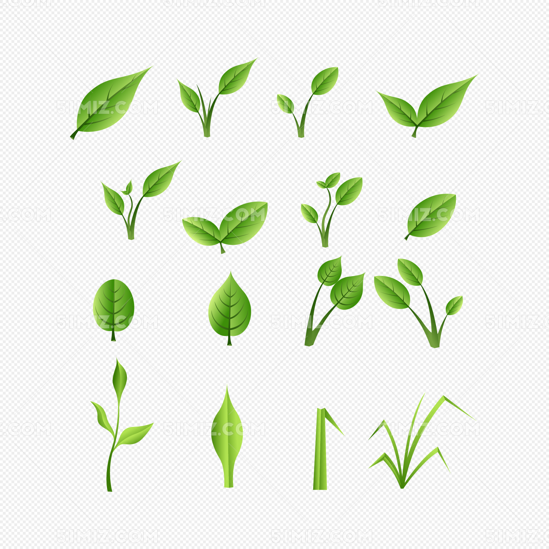高清晰植物绿色叶子壁纸