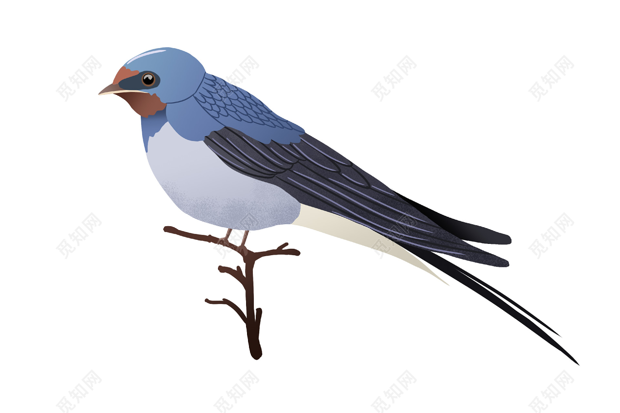 Tree Swallows PNG Images With Transparent Background | Free Download On ...