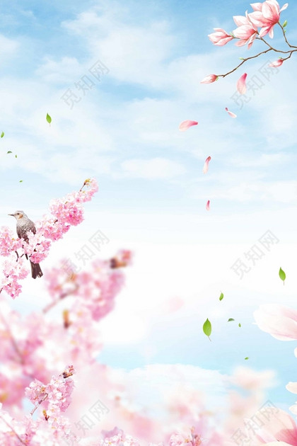 一年之计在于春春暖花开立春二十四节气春天海报背景免费下载 觅知网 一年之计在于春春暖花开立春二十四节气春天海报背景免费下载 觅知网