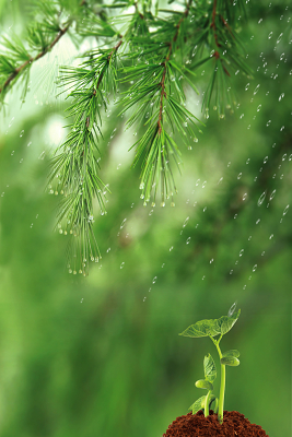水中背景图片 水中背景素材下载 觅知网 水中背景图片 水中背景素材下载 觅知网