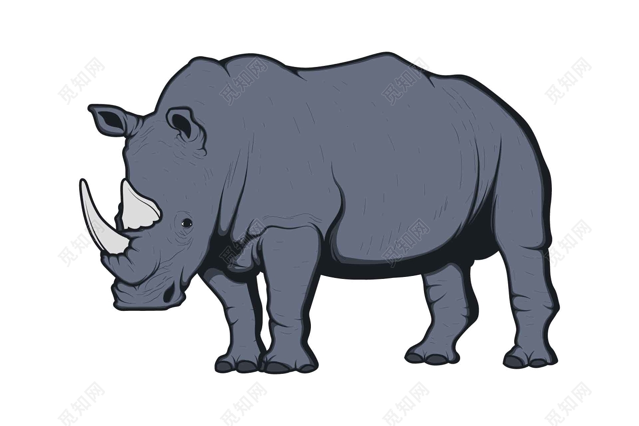 卡通犀牛插画图片素材-编号40014075-图行天下