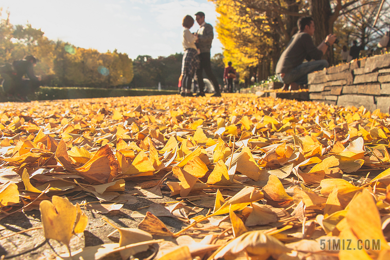 秋天自然景观落叶相拥情侣背景图片