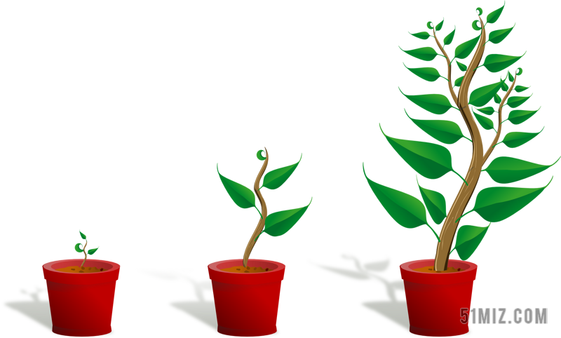植物成长素材 植物成长图片 植物成长素材图片下载 觅知网