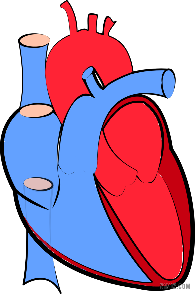 彩色医学卡通一个心脏的简笔彩色画医学教育说明背景图片