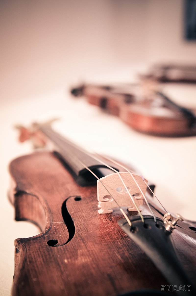音乐清新小提琴古典音乐背景图片