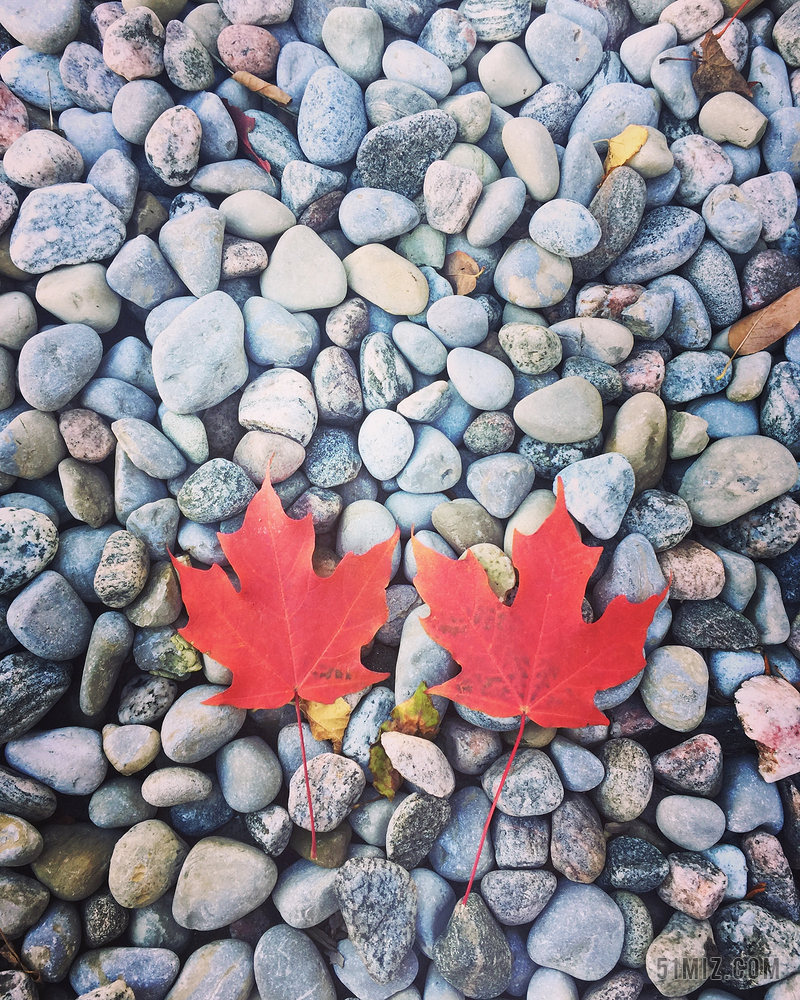 红色静物摆拍自然枫叶石头一对成对小清新意义美好背景图片