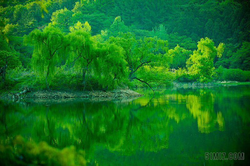 業務 儲集層 湖 大自然 景觀 風光 水 打破 綠色