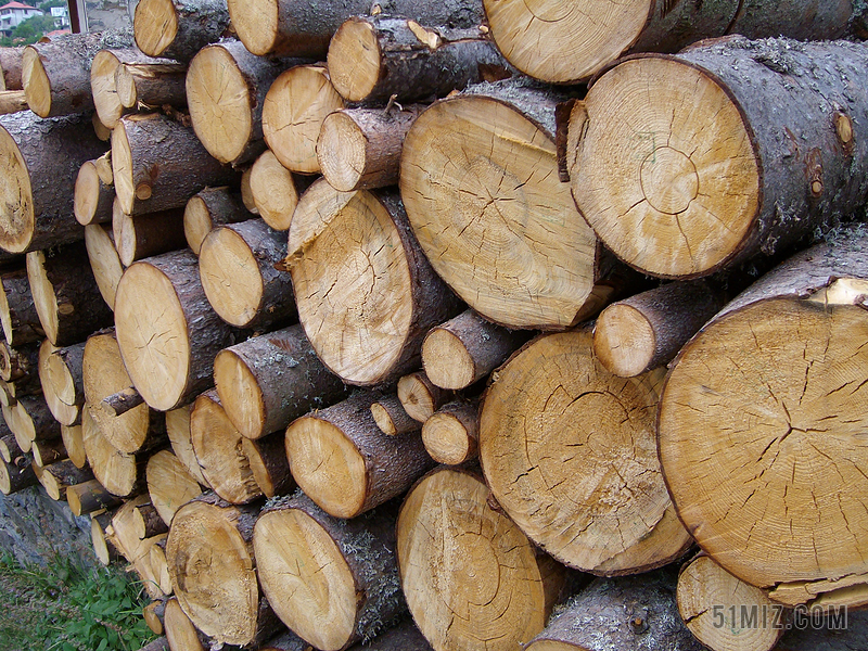下载 国际公路货运 卡车 运输 木材 日志 下载 木材 树干 woodpile