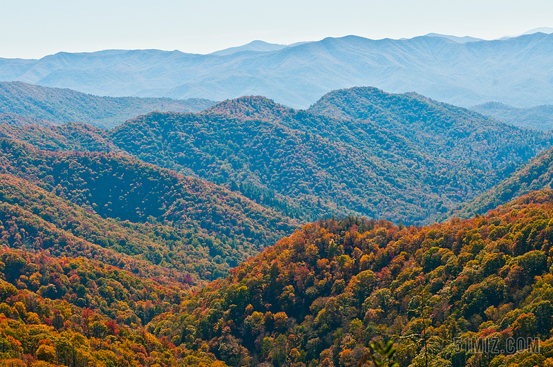 戶外 公園 景觀 黑煙山 景區 葉子 山 阿巴拉契亞 風景