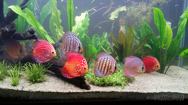 神仙背景