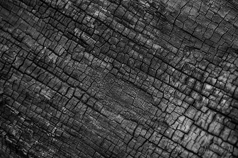 火灾 树煤 木材 黑 背景 纹理 自然