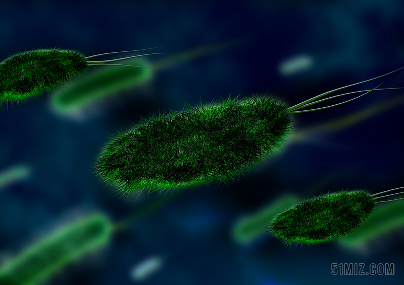 微生物素材 微生物图片 微生物素材图片下载 觅知网
