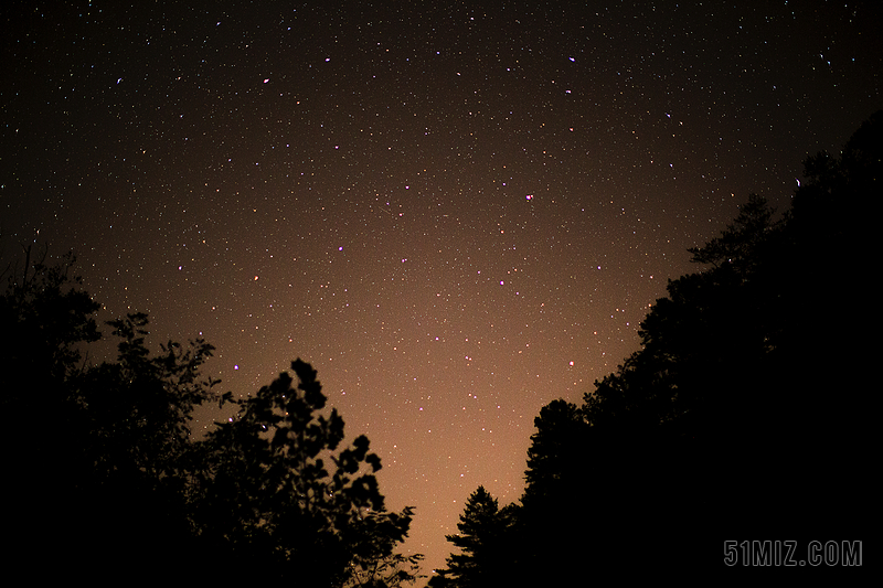 黑色自然唯美夜晚森林上空霓虹灯光辉下的星空夜景照背景图片免费下载 觅知网
