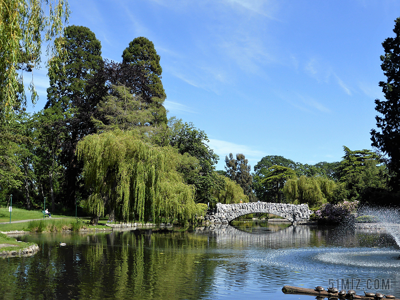 公园 绿色 看 景观 桥 池塘 性质 城市公园 徒步旅行