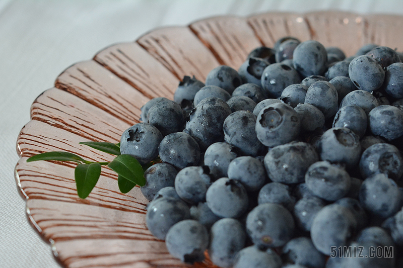 蓝莓 越桔 浆果 越桔美国 水果 性质 蓝果树