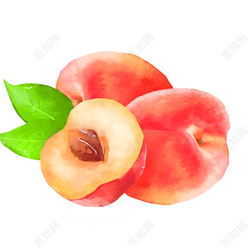 夏天水果水蜜桃成熟的桃子素材免费下载 觅知网