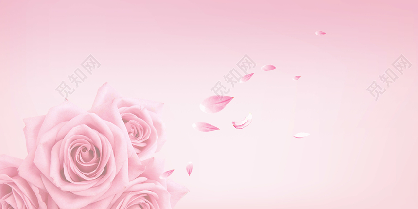 粉色玫瑰花花瓣背景素材免费下载 觅知网