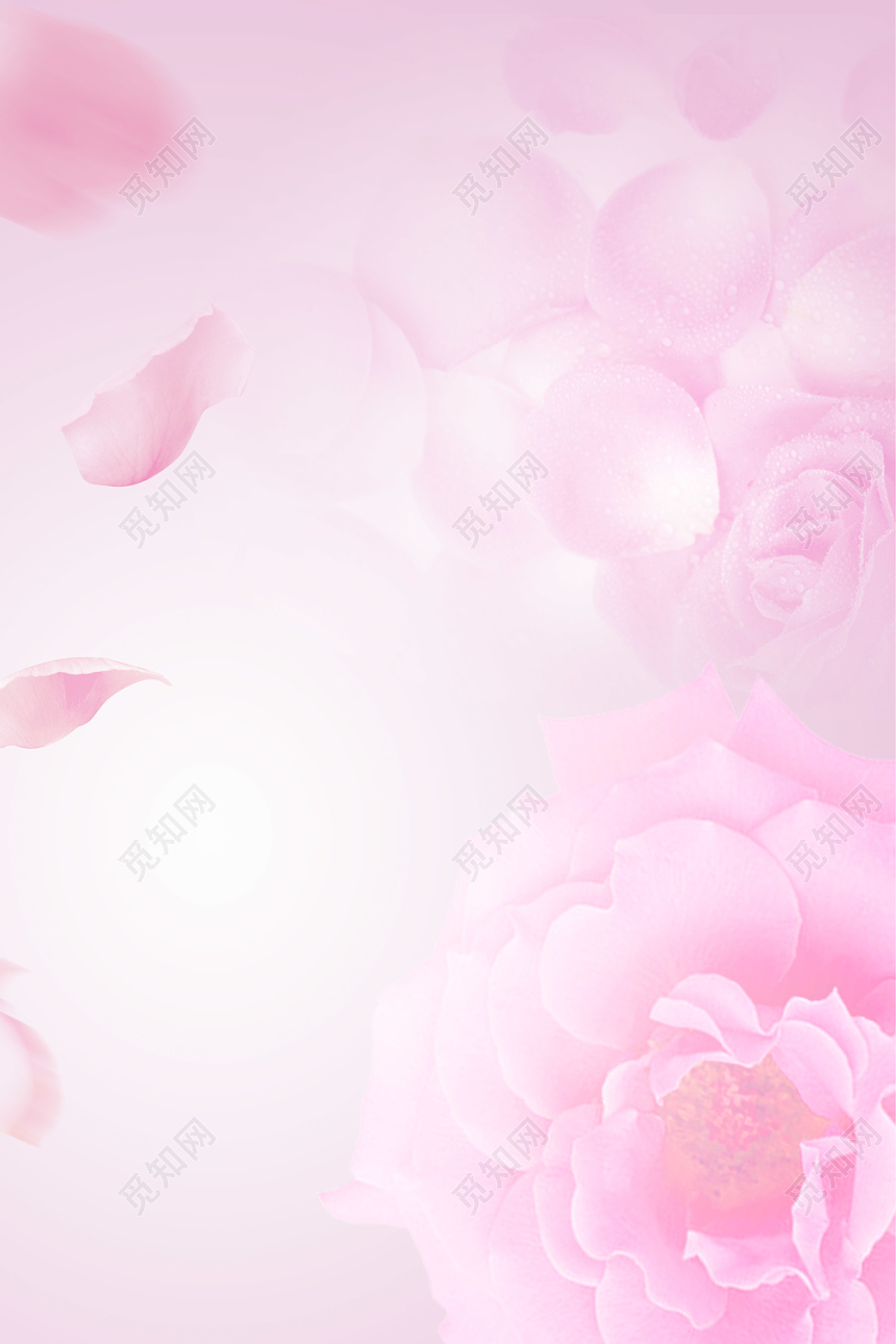 粉色玫瑰花花瓣背景素材免费下载 觅知网