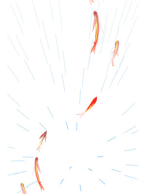 彩色手绘卡通金鱼锦鲤雨天下雨雨水节气元素png素材免费下载 觅知网