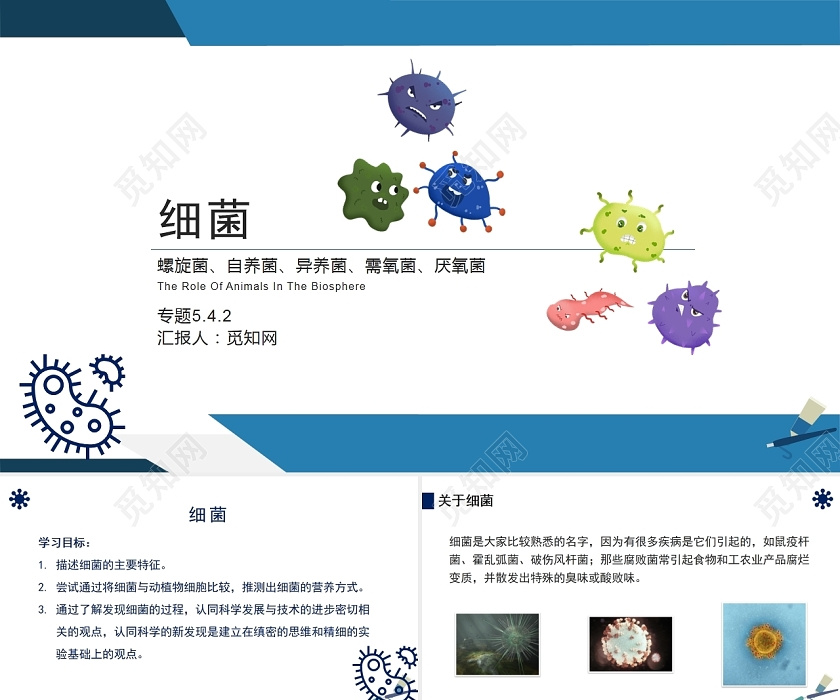 蓝色细菌教学研究细菌ppt下载 觅知网